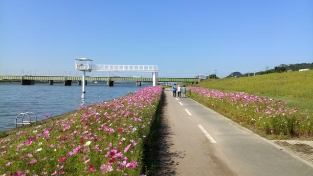 郊外にあるので車で楽々通勤できます。