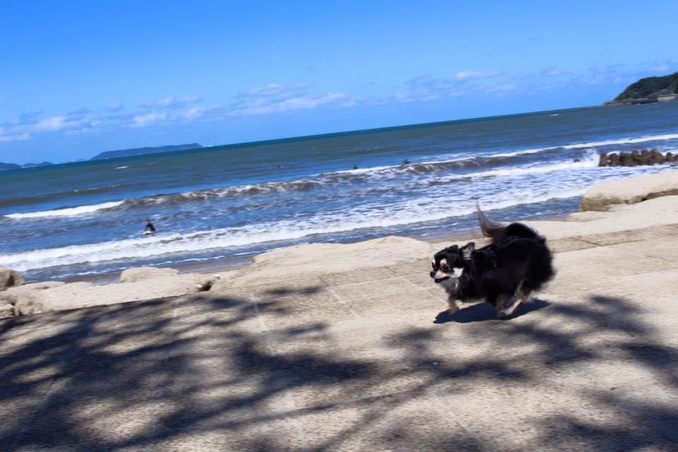 海沿いの美しい自然に恵まれた環境です。