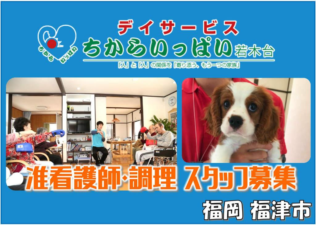 デイサービスちからいっぱい若木台の求人情報【給食調理】パート・お祝い金・福岡・福津市