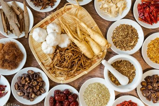 心身の病気、健康維持など総合的な診療を行っております