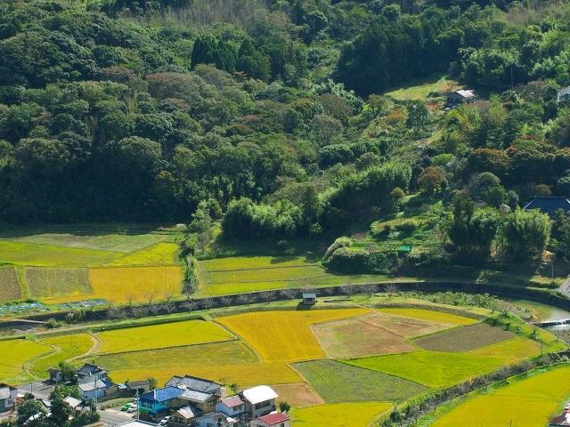 郊外にあるので車で楽々通勤できます。